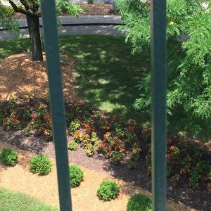 Meet your Posher, Mason